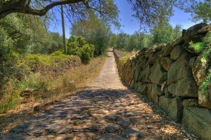 calagonone_2008_SAR1191_HDR